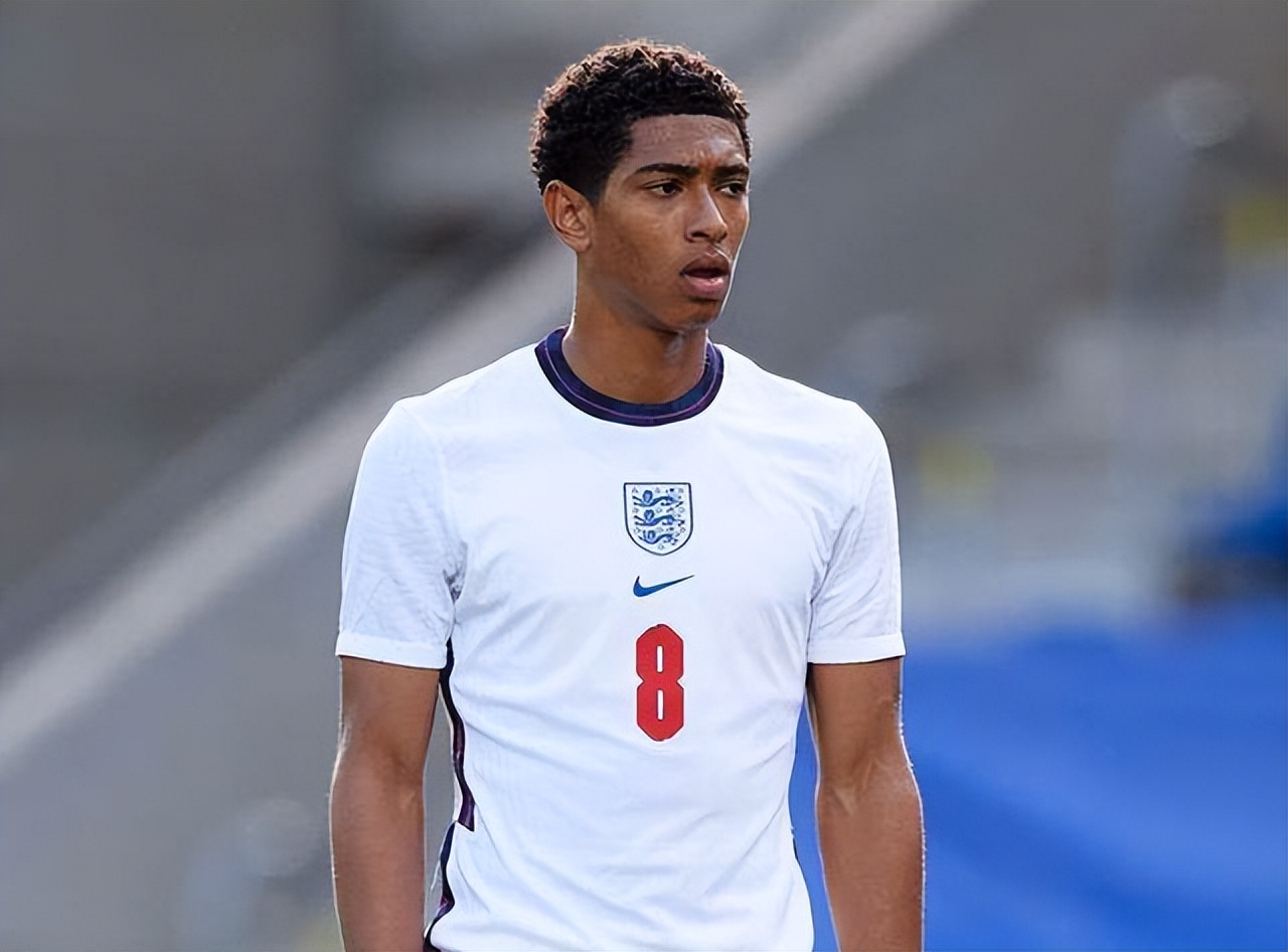 黄蜂鹈鹕魔术活塞